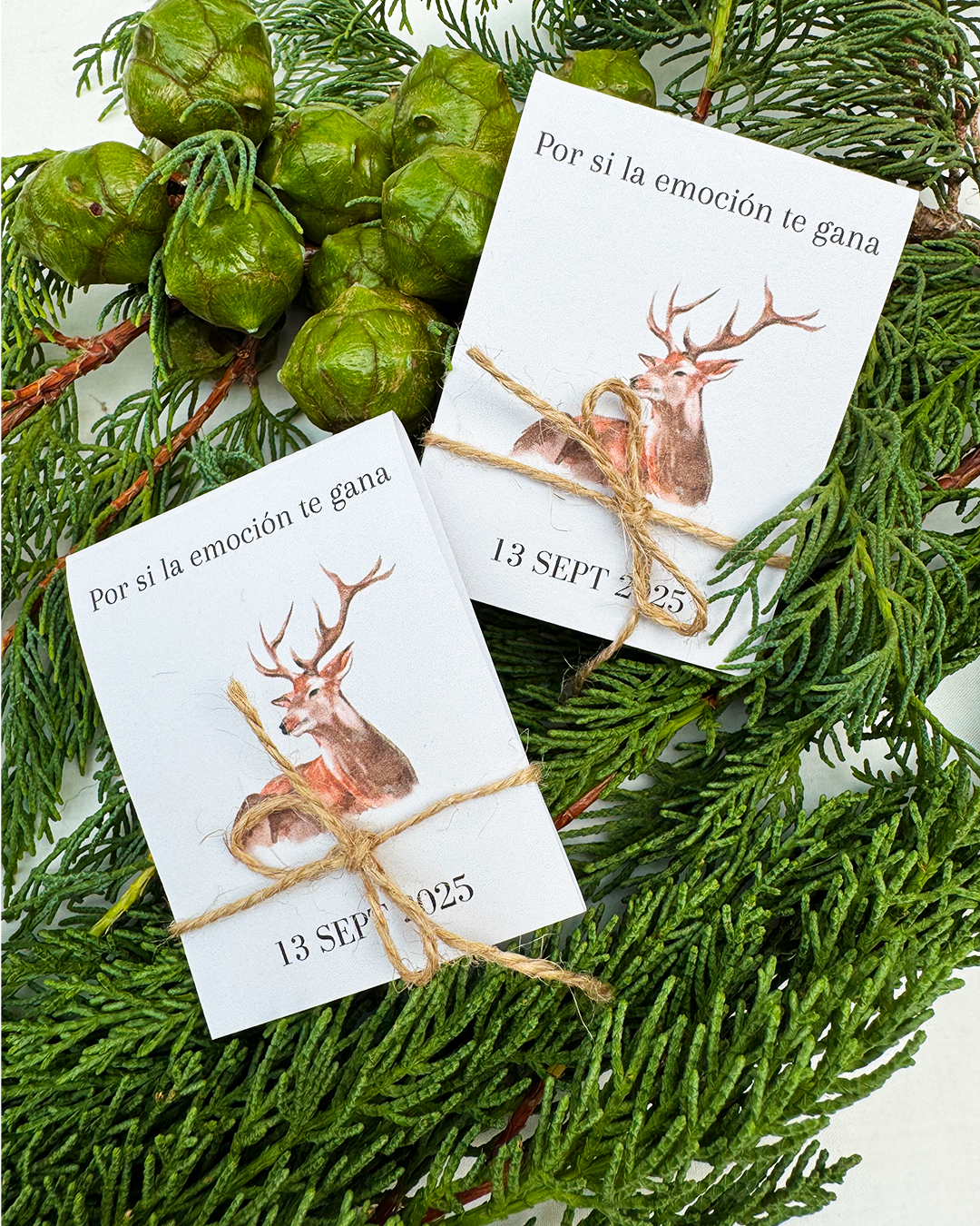 Lágrimas de felicidad Cervus para boda