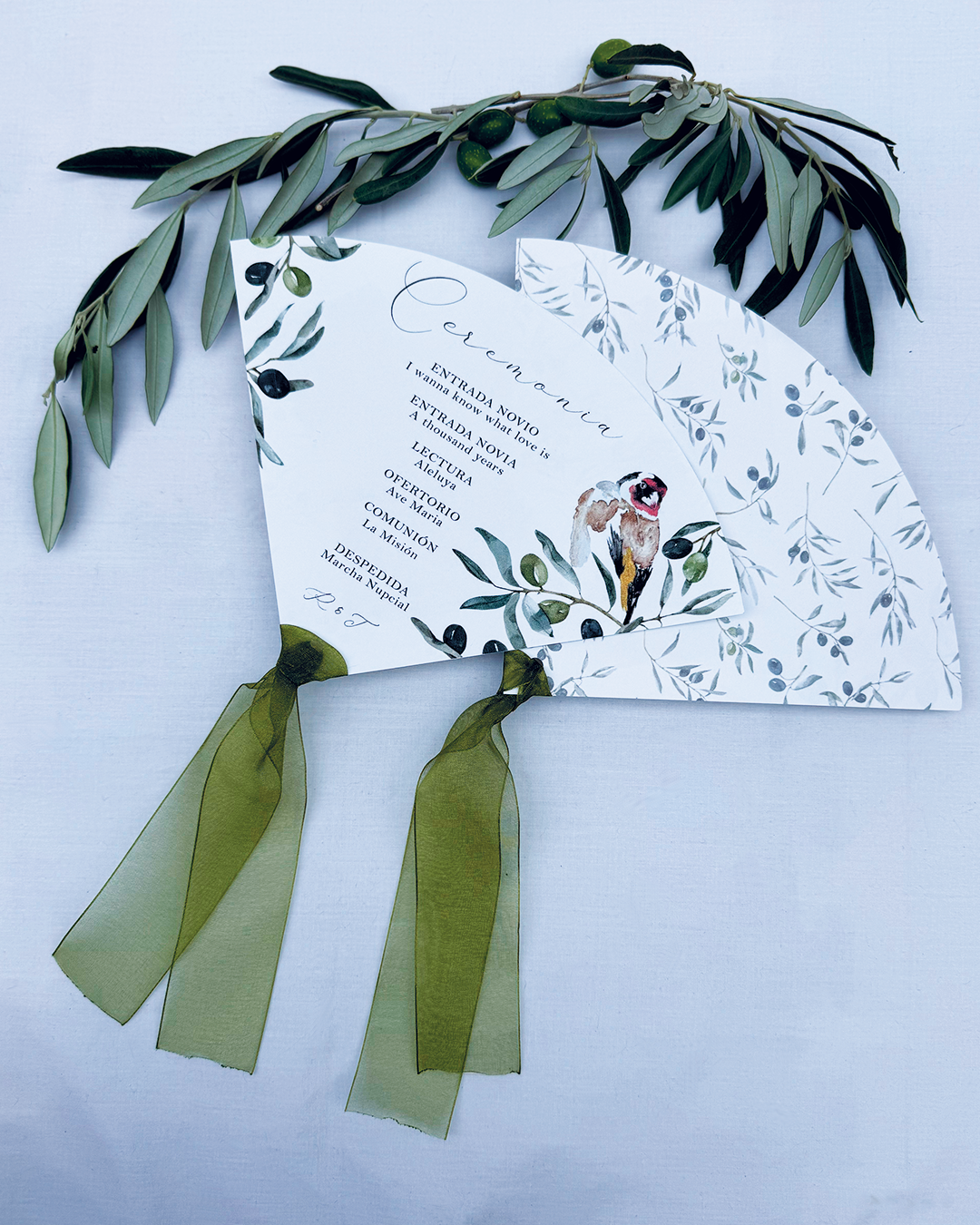 Pai pai Olivo para boda