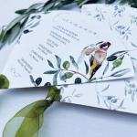 Pai pai Olivo para boda