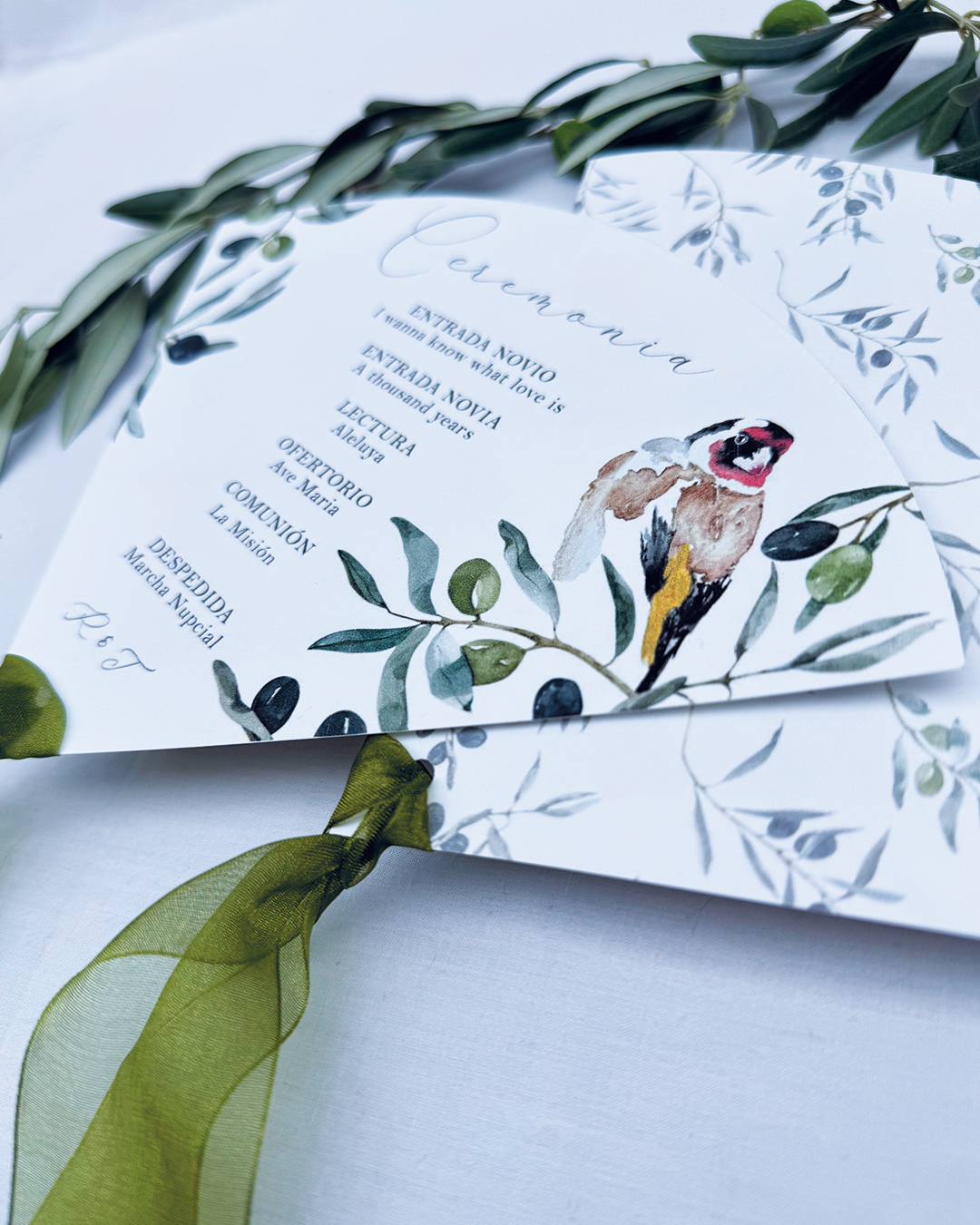 Pai pai Olivo para boda