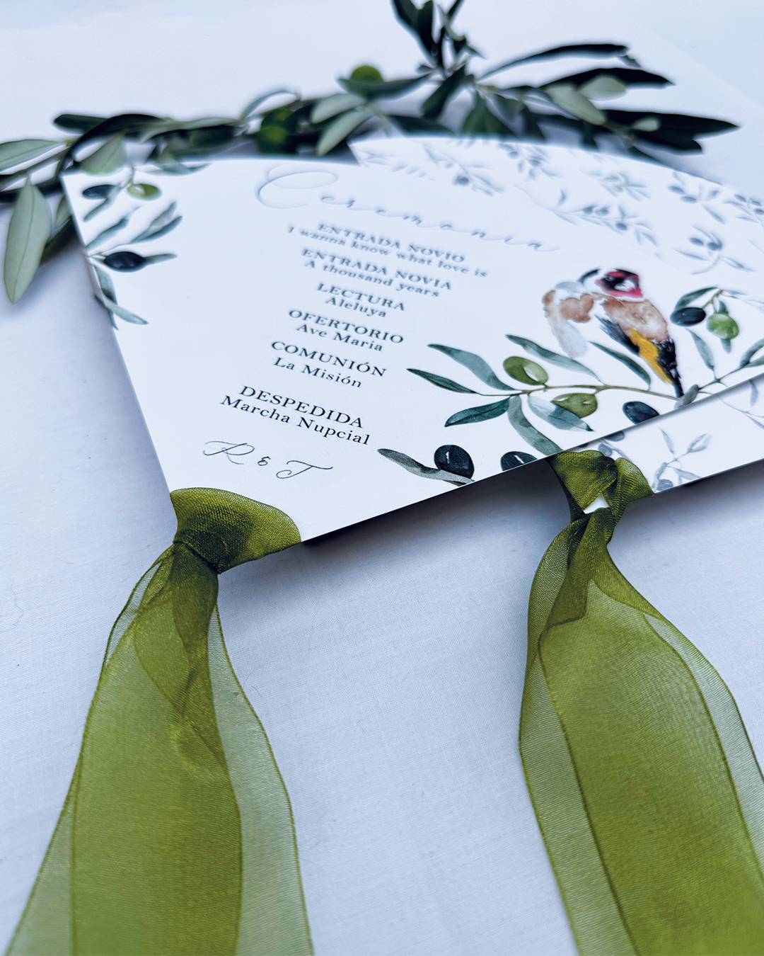 Pai pai Olivo para boda