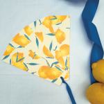 Pai pai citrus para boda